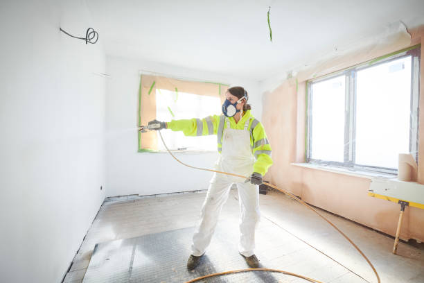 Best Mold Odor Removal Services  in Reed City, MI