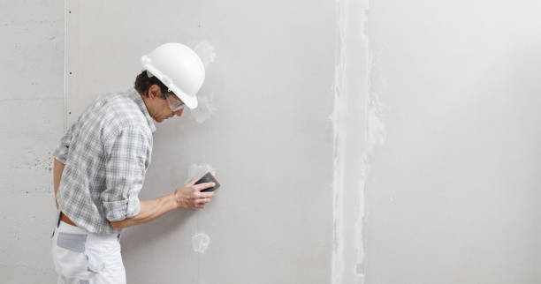 Best Basement Mold Removal  in Reed City, MI