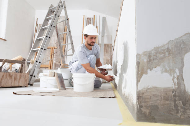 Best Emergency Mold Remediation  in Reed City, MI